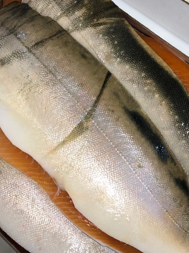 fisk 1 768x1025